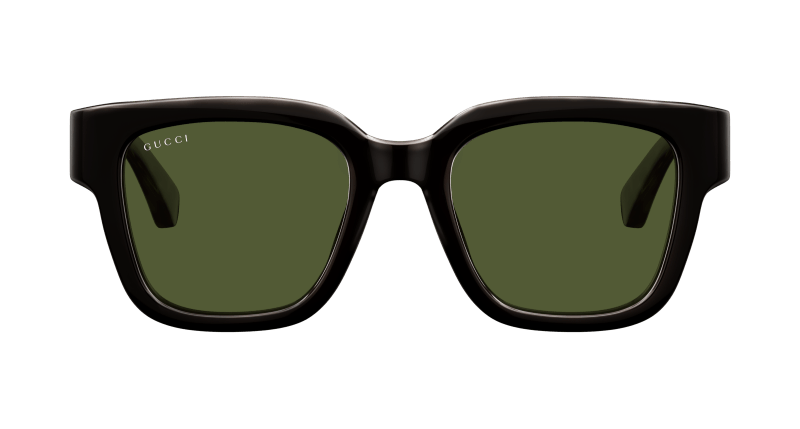 Brown Sunglasses Gucci 889652501635