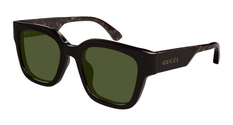 Brown Sunglasses Gucci 889652501635