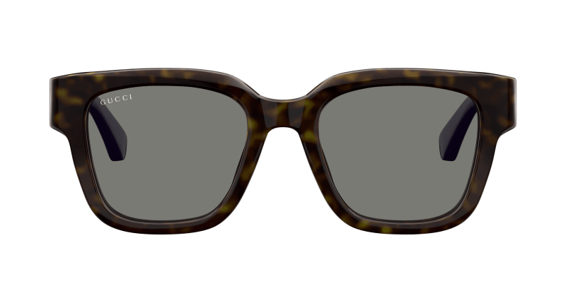 Havana Sunglasses Gucci 889652501628