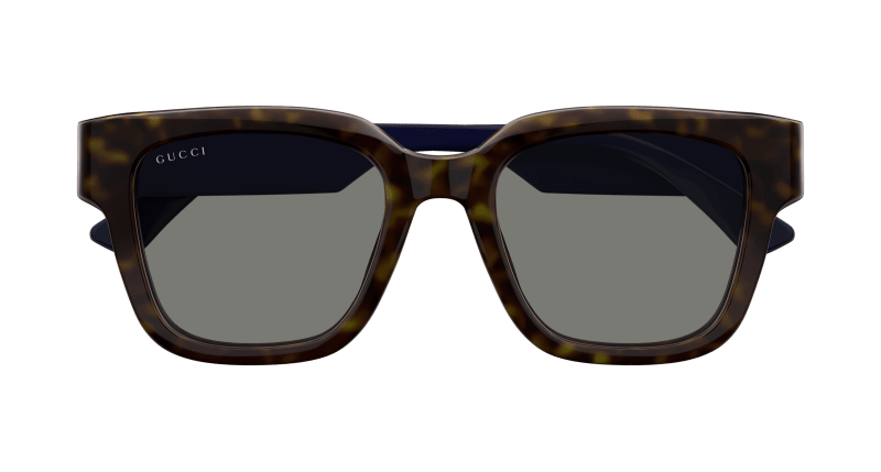 Havana Sunglasses Gucci 889652501628