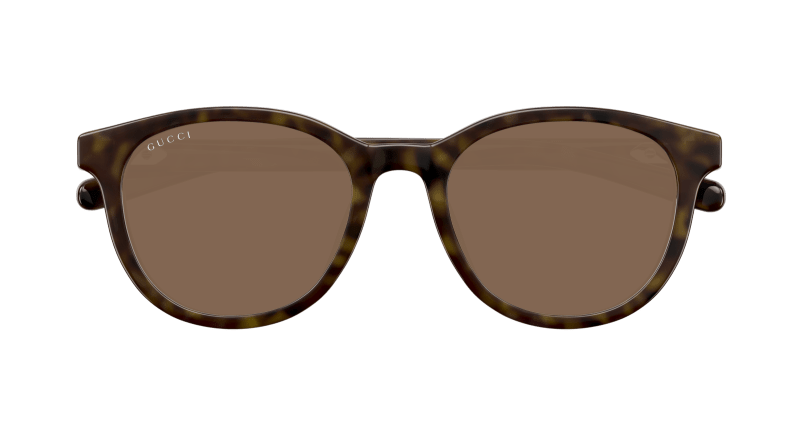 Havana Sunglasses Gucci 889652501703