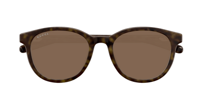 Havana Sunglasses Gucci 889652501703