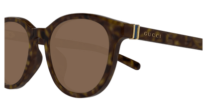 Havana Sunglasses Gucci 889652501703