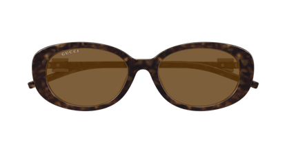 Havana Sunglasses Gucci 889652501802