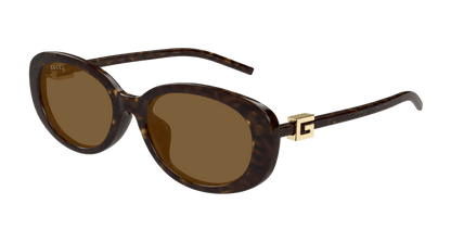 Havana Sunglasses Gucci 889652501802