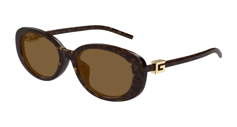 Havana Sunglasses Gucci 889652501802