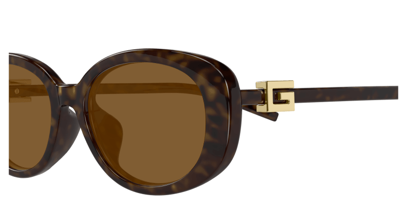 Havana Sunglasses Gucci 889652501802