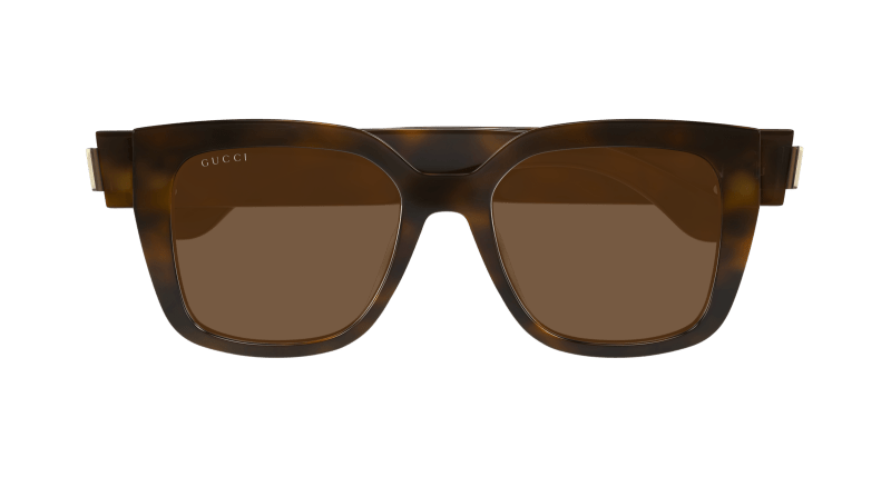 Havana Sunglasses Gucci 889652501888