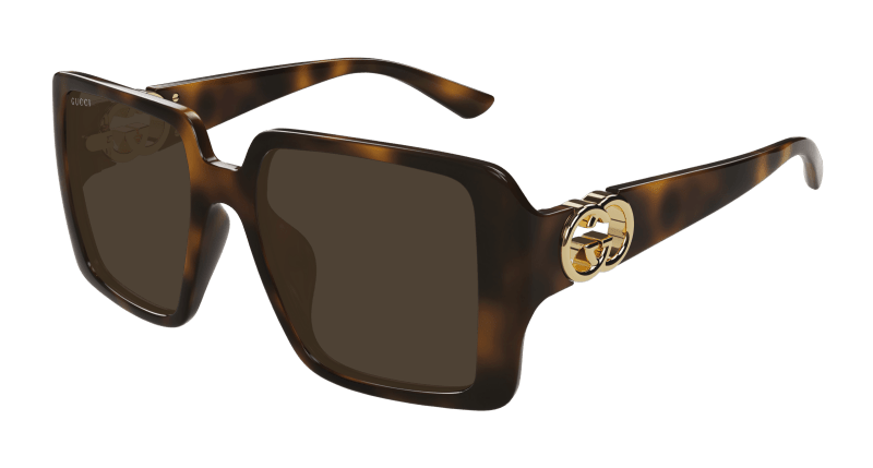 Havana Sunglasses Gucci 889652499420