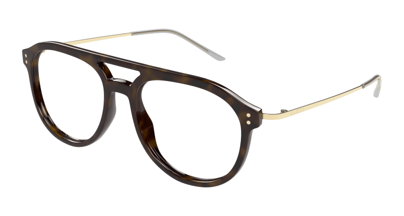 Havana Eyeglasses Gucci 889652499758