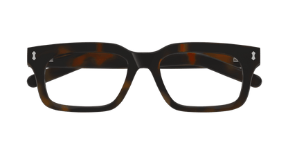 Havana Sunglasses Gucci 889652500102