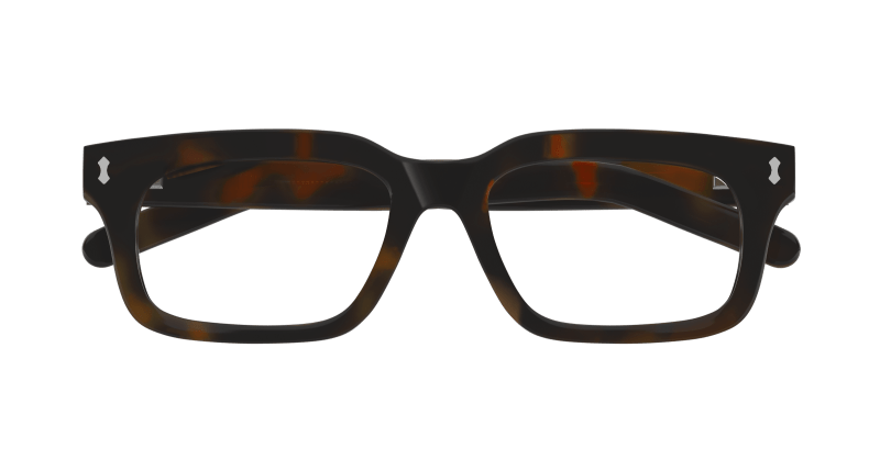 Havana Sunglasses Gucci 889652500102