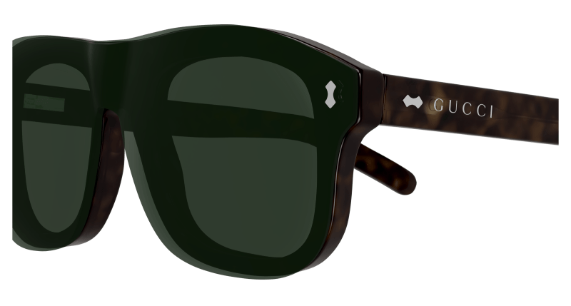 Havana Sunglasses Gucci 889652500133