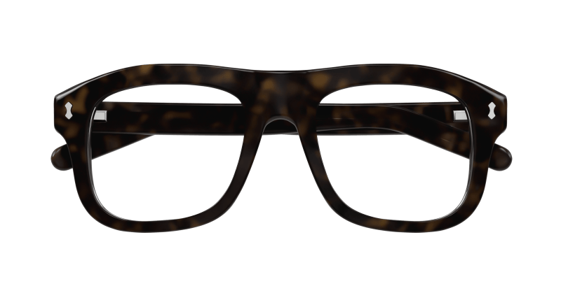 Havana Sunglasses Gucci 889652500133