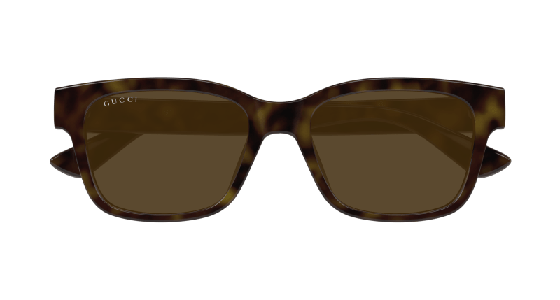 Havana Sunglasses Gucci 889652502748