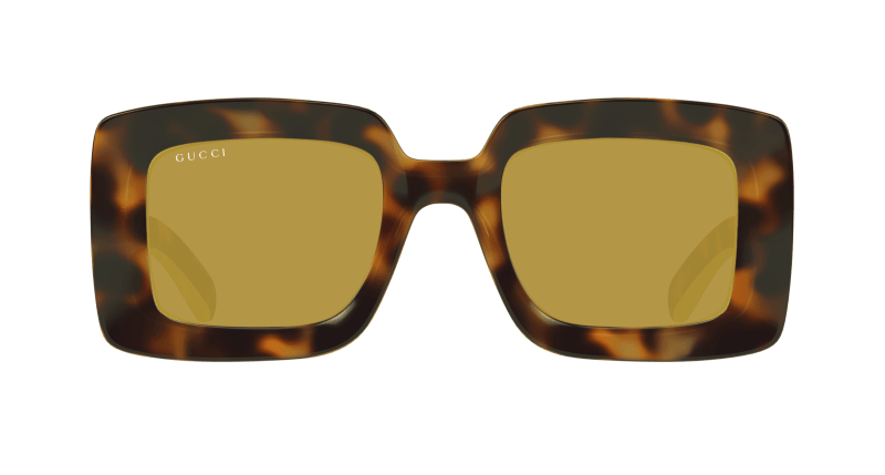 Havana Sunglasses Gucci 889652500164