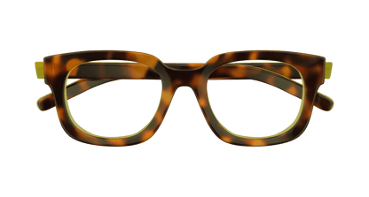 Havana Eyeglasses Gucci 889652500355