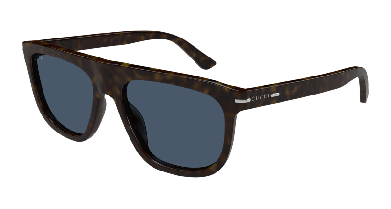 Havana Sunglasses Gucci 889652498300