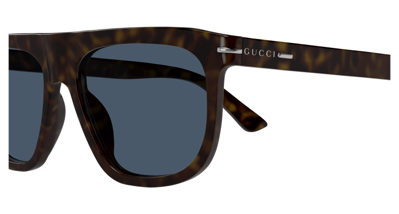 Havana Sunglasses Gucci 889652498300