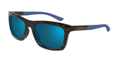 Havana Sunglasses Gucci 889652501185