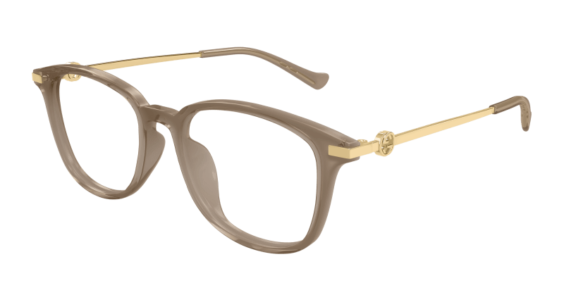 Brown Eyeglasses Gucci 889652502571