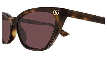 Havana Sunglasses Gucci 889652527468