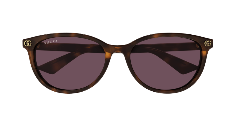 Havana Sunglasses Gucci 889652526355