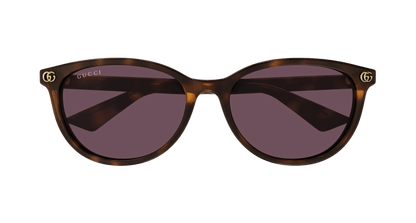 Havana Sunglasses Gucci 889652526355