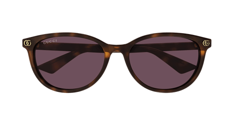 Havana Sunglasses Gucci 889652526355
