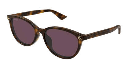 Havana Sunglasses Gucci 889652526355