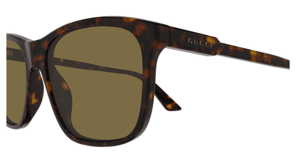 Havana Sunglasses Gucci 889652527598