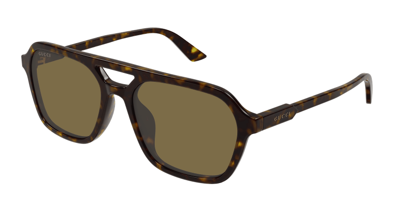 Havana Sunglasses Gucci 889652526393