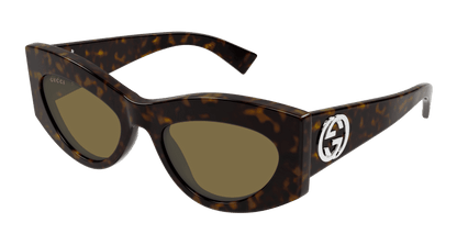 Havana Sunglasses Gucci 889652528809