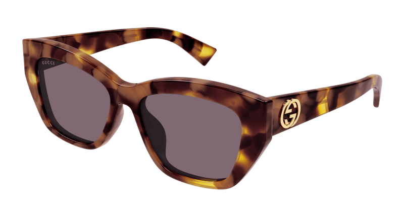 Havana Sunglasses Gucci 889652525631