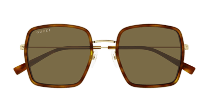 Havana Sunglasses Gucci 889652529103
