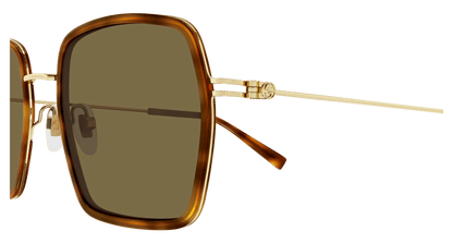 Havana Sunglasses Gucci 889652529103
