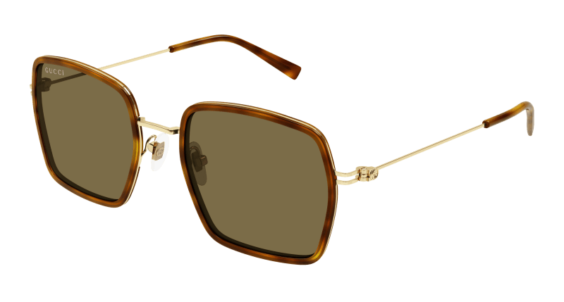 Havana Sunglasses Gucci 889652529103