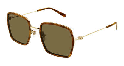 Havana Sunglasses Gucci 889652529103
