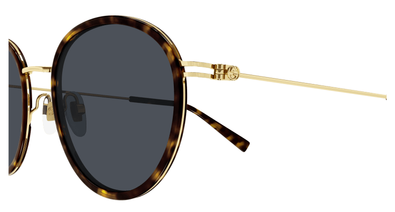 Havana Sunglasses Gucci 889652529158