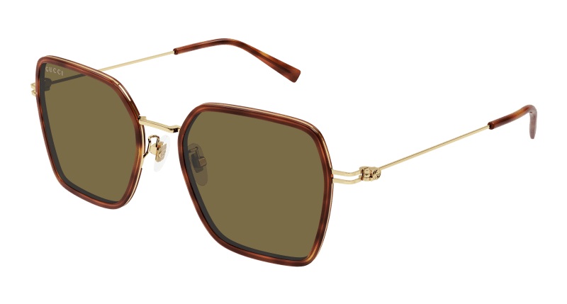 Havana Sunglasses Gucci 889652526195