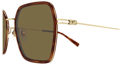 Havana Sunglasses Gucci 889652526195
