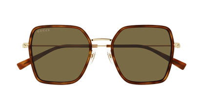 Havana Sunglasses Gucci 889652526195