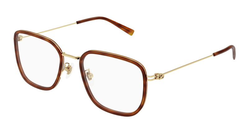 Havana Eyeglasses Gucci 889652526232
