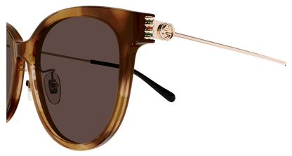 Havana Sunglasses Gucci 889652525334