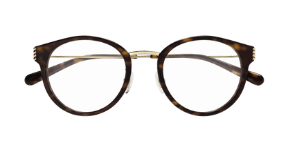 Havana Eyeglasses Gucci 889652525396