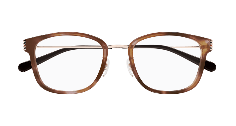 Havana Eyeglasses Gucci 889652525457