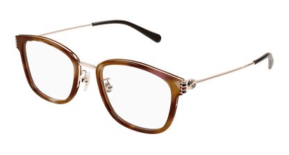 Havana Eyeglasses Gucci 889652525457