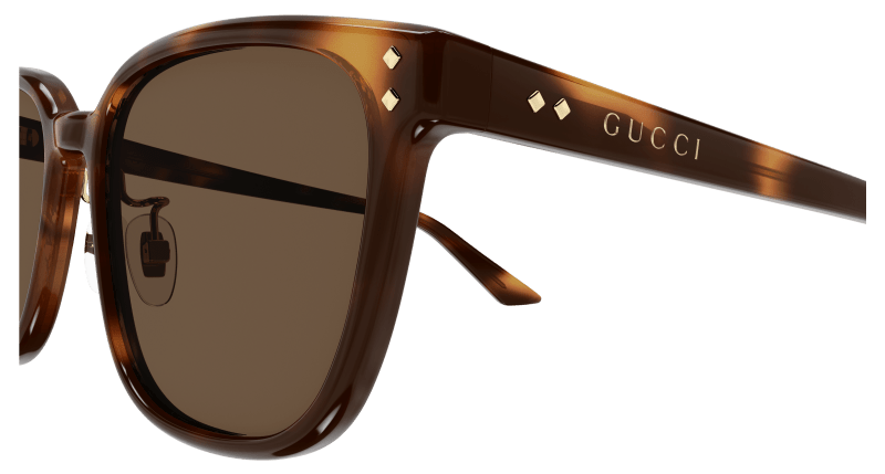 Havana Sunglasses Gucci 889652525495
