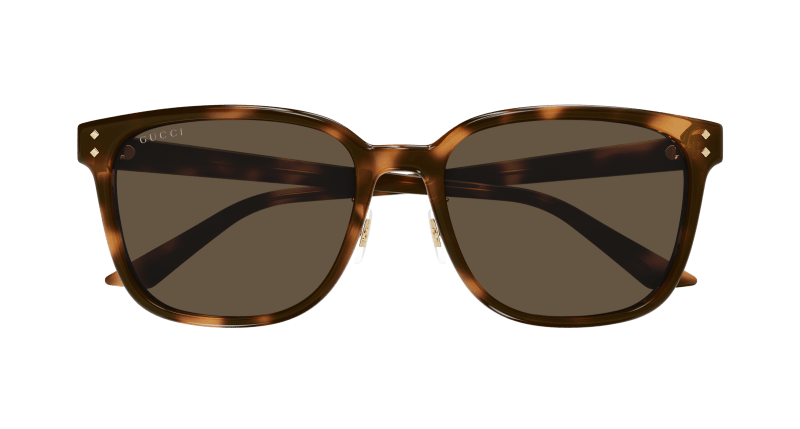 Havana Sunglasses Gucci 889652525495