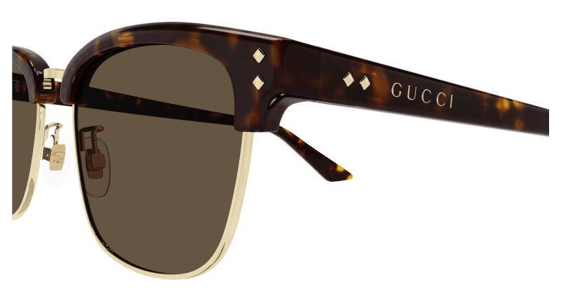 Havana Sunglasses Gucci 889652525556